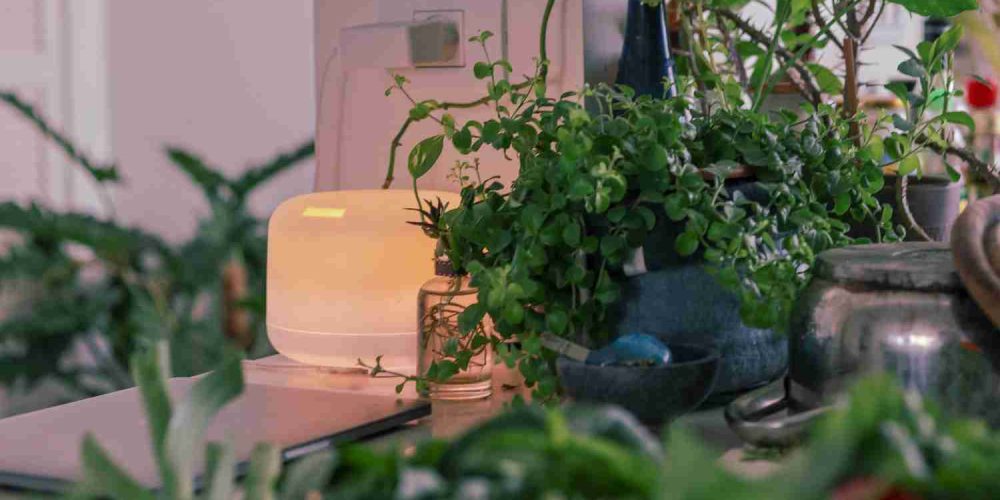 air and water treatment or purifier